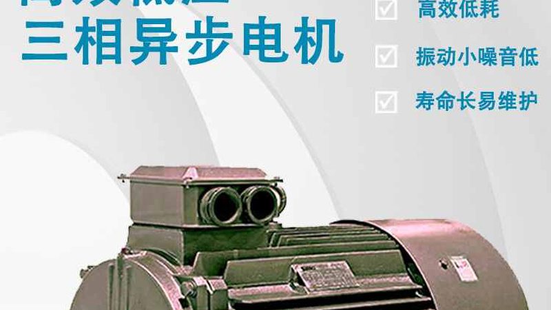 变频电机型号参数解析：揭秘选购背后的技术逻辑